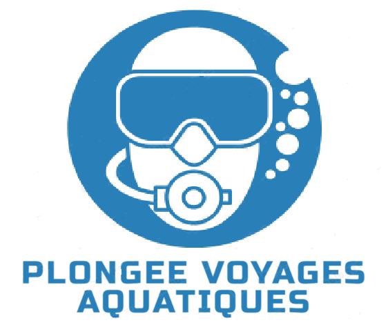 Guide de voyage pour les amateurs de plongee sous marine