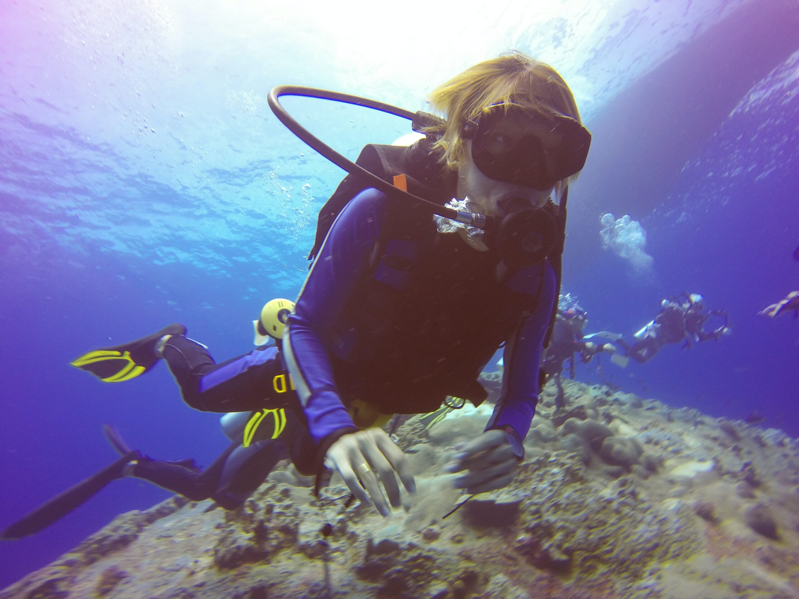 plongee sous marine bahamas